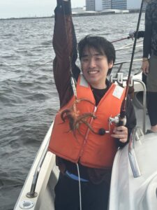 マダコ便のイメージ